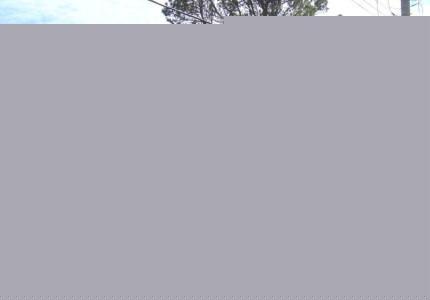 501843272_9479110f60_b.jpg
